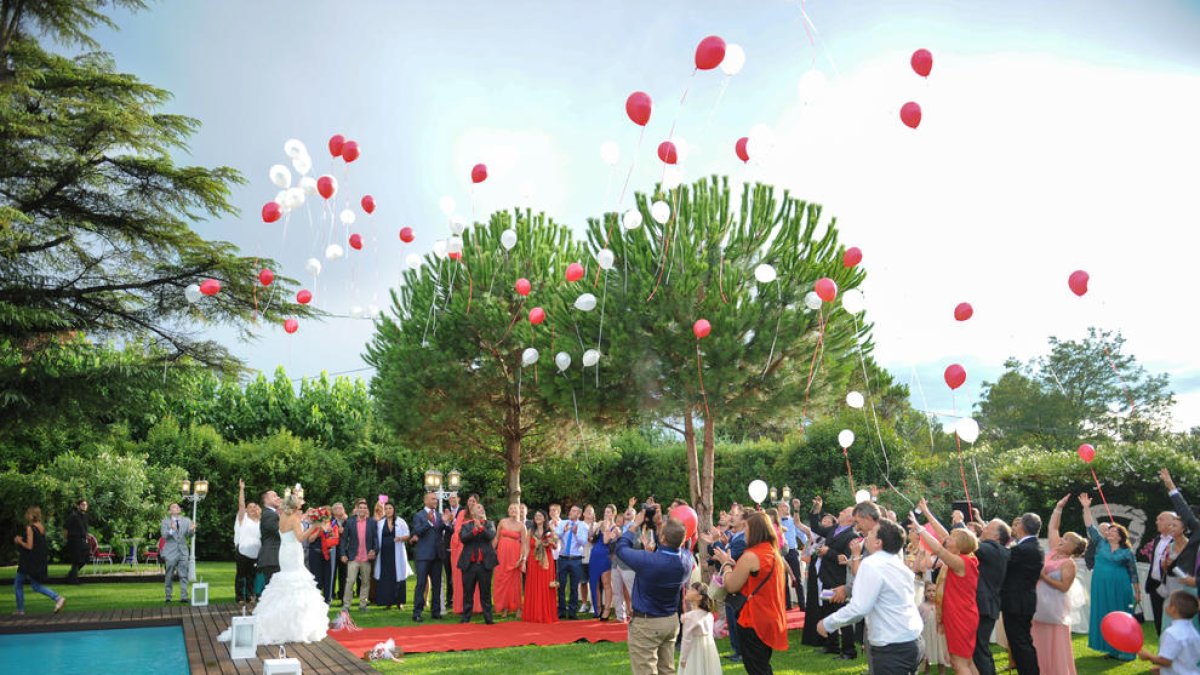 Pla general d'uns nuvis celebrant el seu casament en uns jardins del Baix Empordà