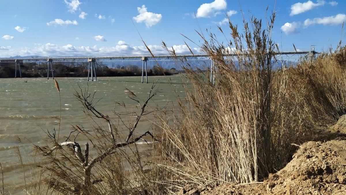 El riu Ebre al seu pas pel terme de Campredó.