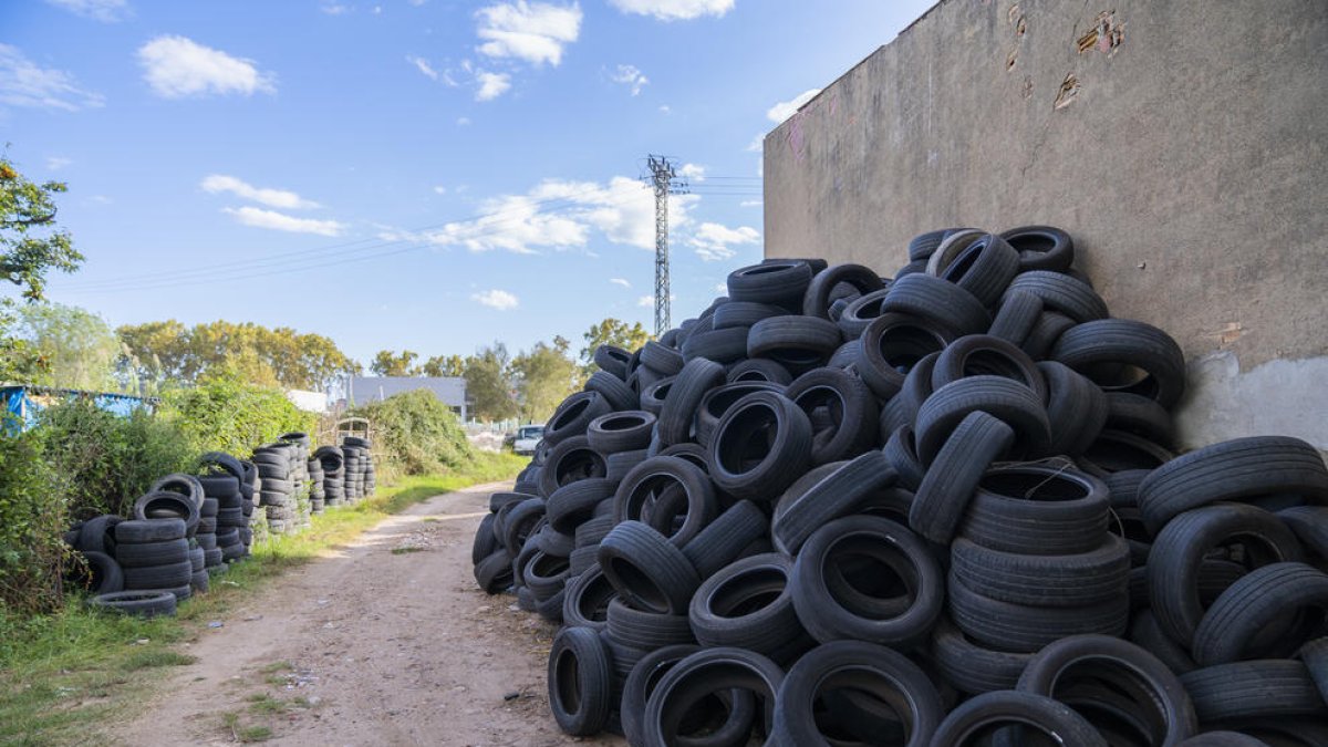 Imatge de l'acumulació de pneumàtics a un camí a tocar de la carretera de València.