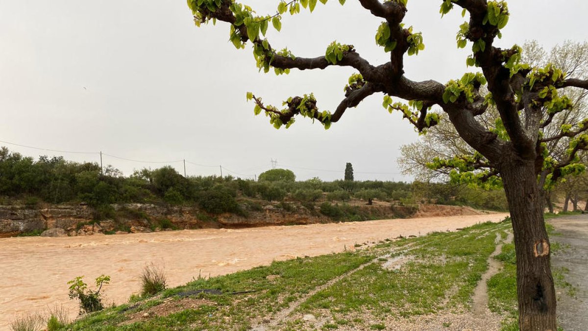 Pla general del barranc de la Galera amb aigua baixant al seu pas pel municipi de Masdenverge.