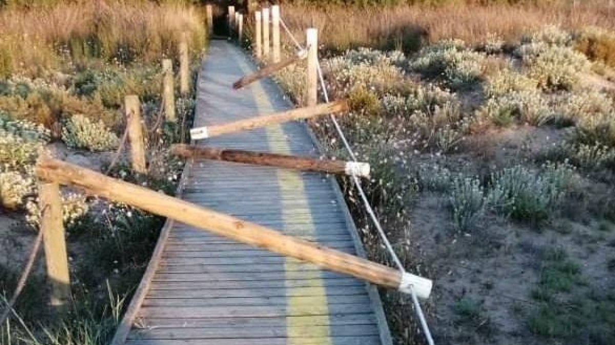 Imatge de les fites tombades a Torredembarra