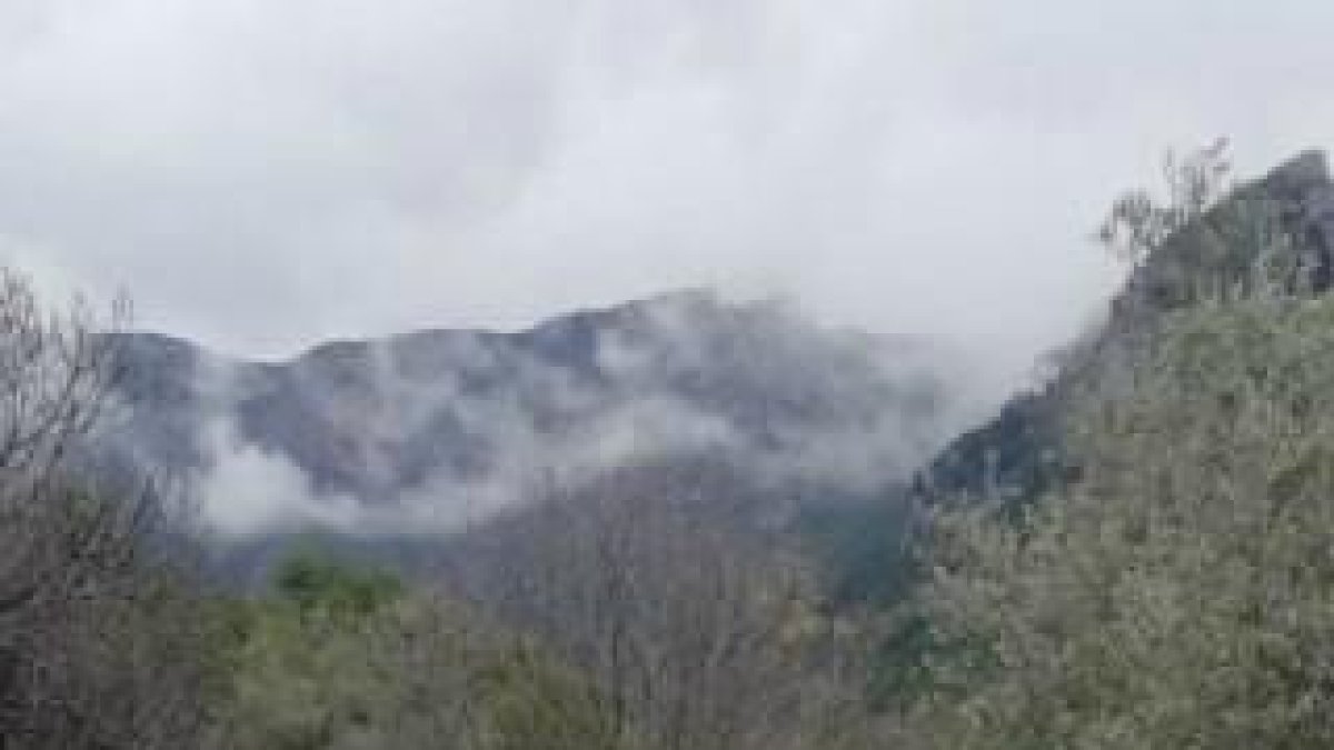 Plano general de los vehículos localizados en Fígols i Alinyà (Alt Urgell) por los Agentes Rurales.