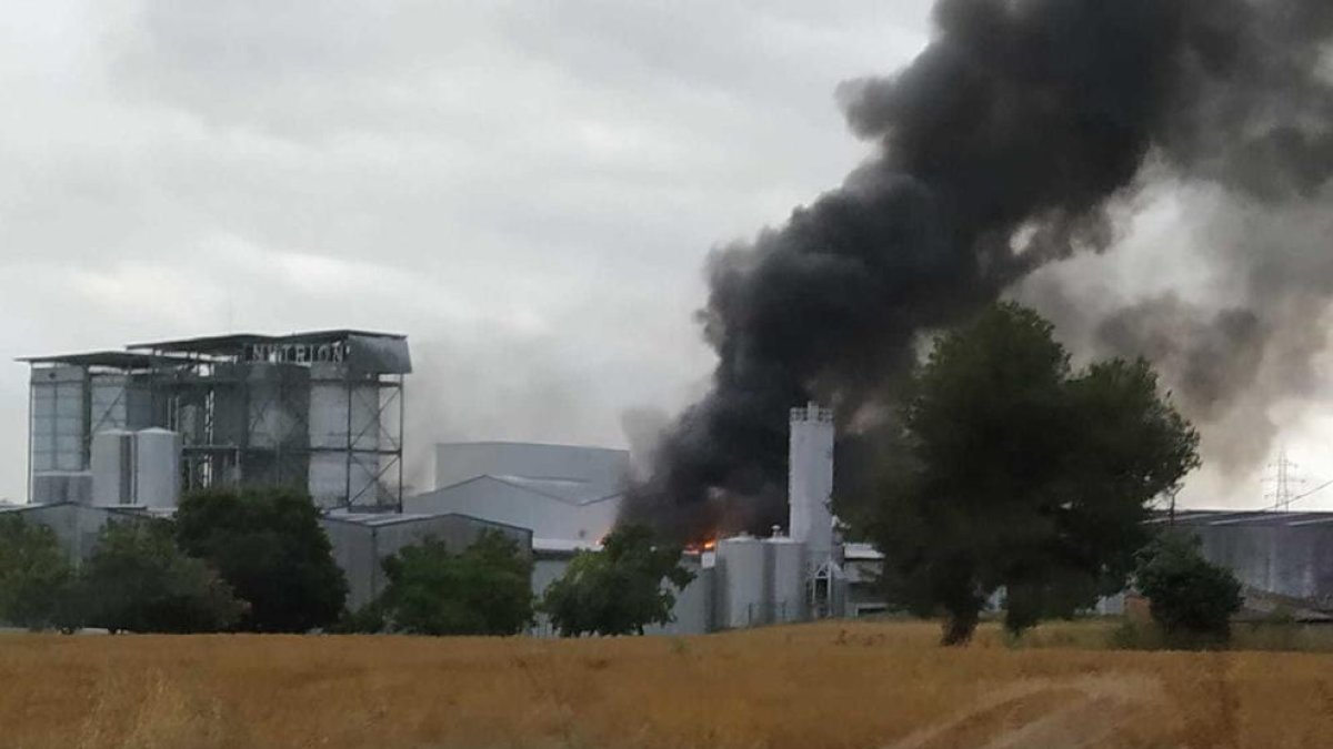 La nau afectada està situada a la parcel·la 50 de la zona industrial.