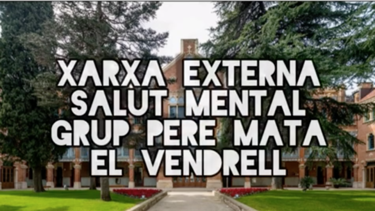 Imatge del vídeo elaborat pels professionals del Grup Pere Mata.