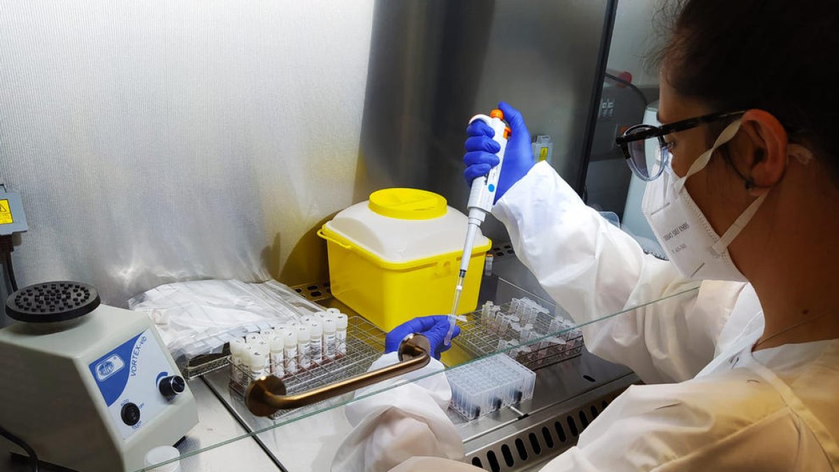 Una profesional del Laboratori Clínic de la Fundació Salut Empordà procesando muestras de PCR.