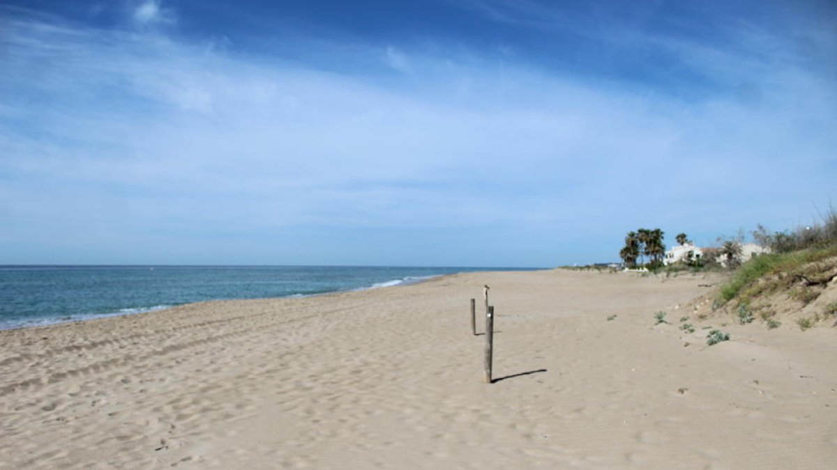 Imatge d'arxiu de la platja de Creixell.