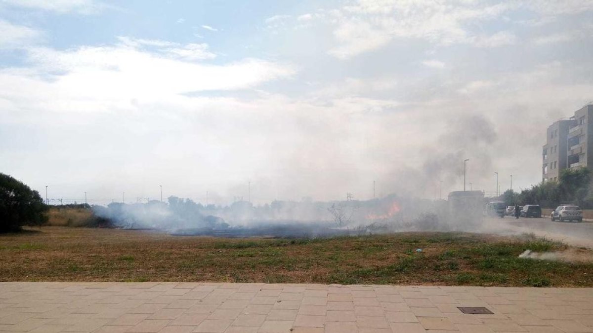 El foc s'ha produït en un solar del carrer Comte de Santa Coloma.