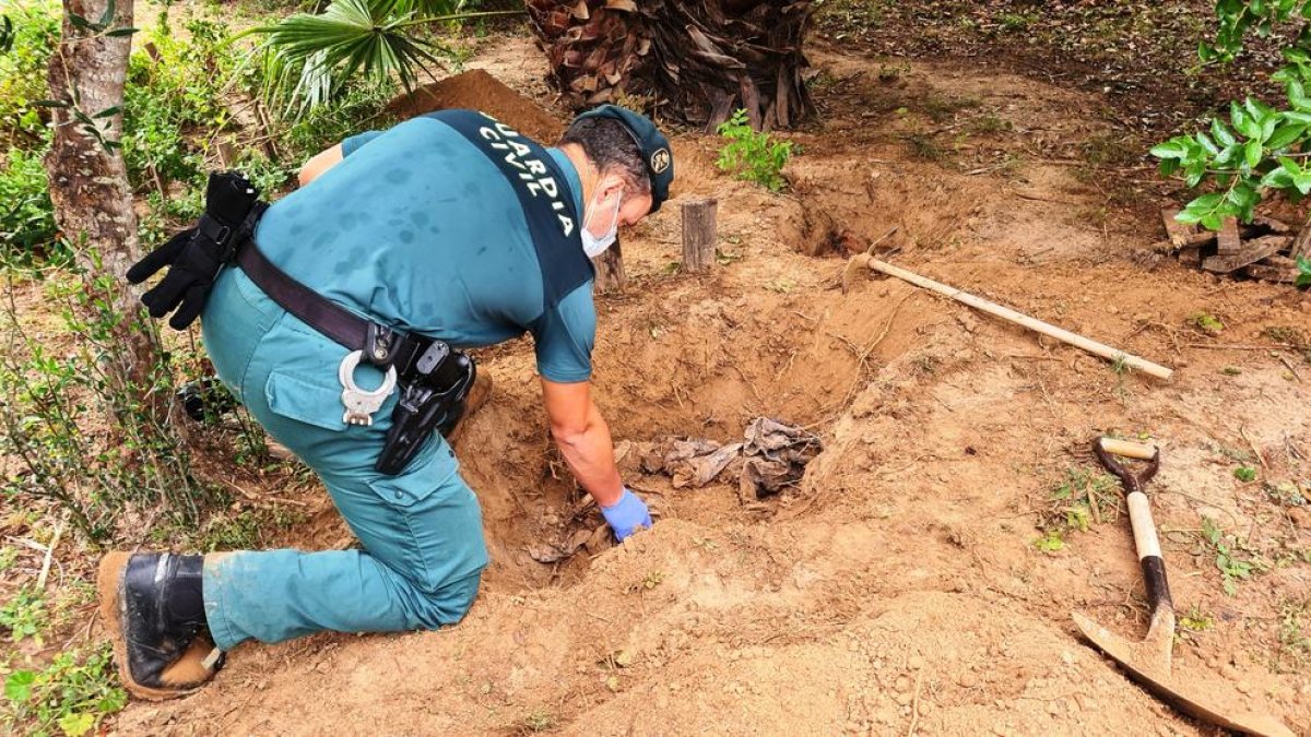 Un agente del Seprona excavando las fosas.