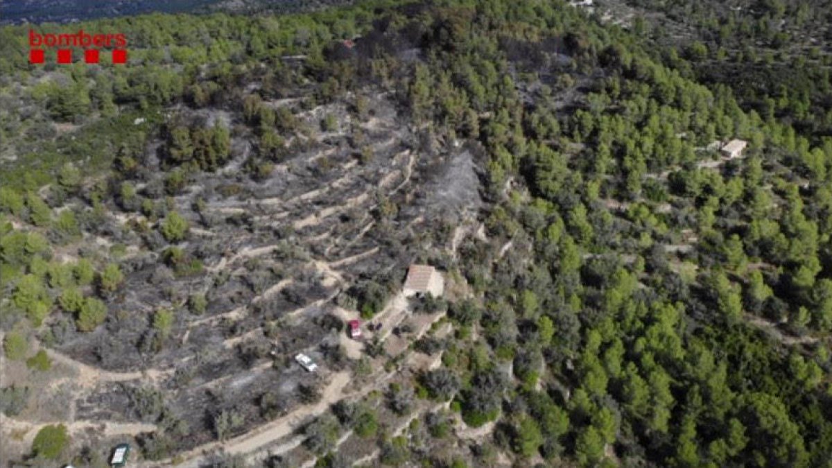 Zona forestal afectada per l'incendi al Coll Redó de Tortosa.