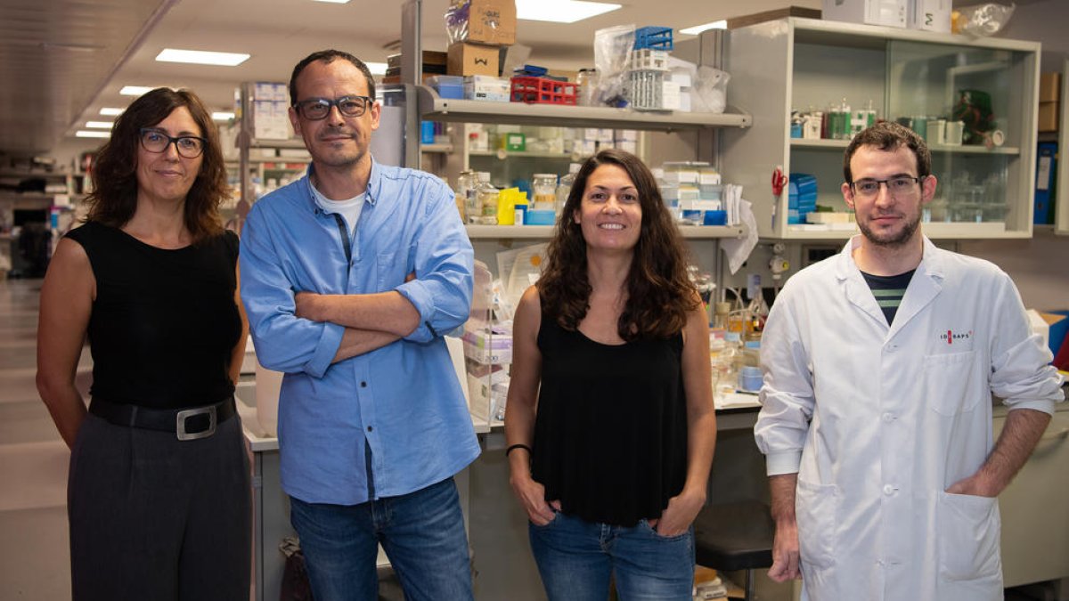 Equipo de investigación|búsqueda que ha descubierto un nuevo mecanismo de defensa celular enfrente de infecciones víricas y bacterianas.