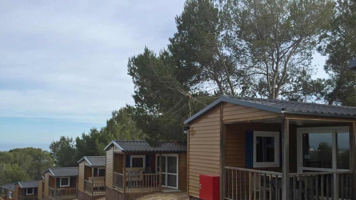 Interior del Camping Trillas de Tamarit.