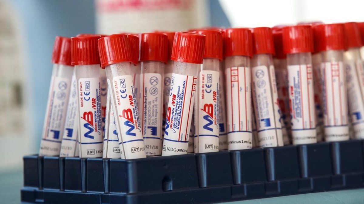 Itàlia començarà aquest dilluns en un hospital de Roma l'experimentació de la vacuna contra el coronavirus