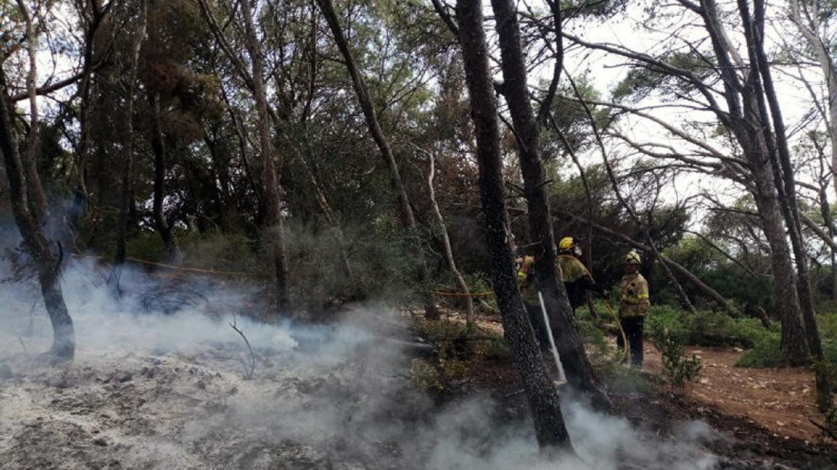 Efectivos de los Bomberos intervienen en el incendio del pasado sábado en el Bosc de la Marquesa.