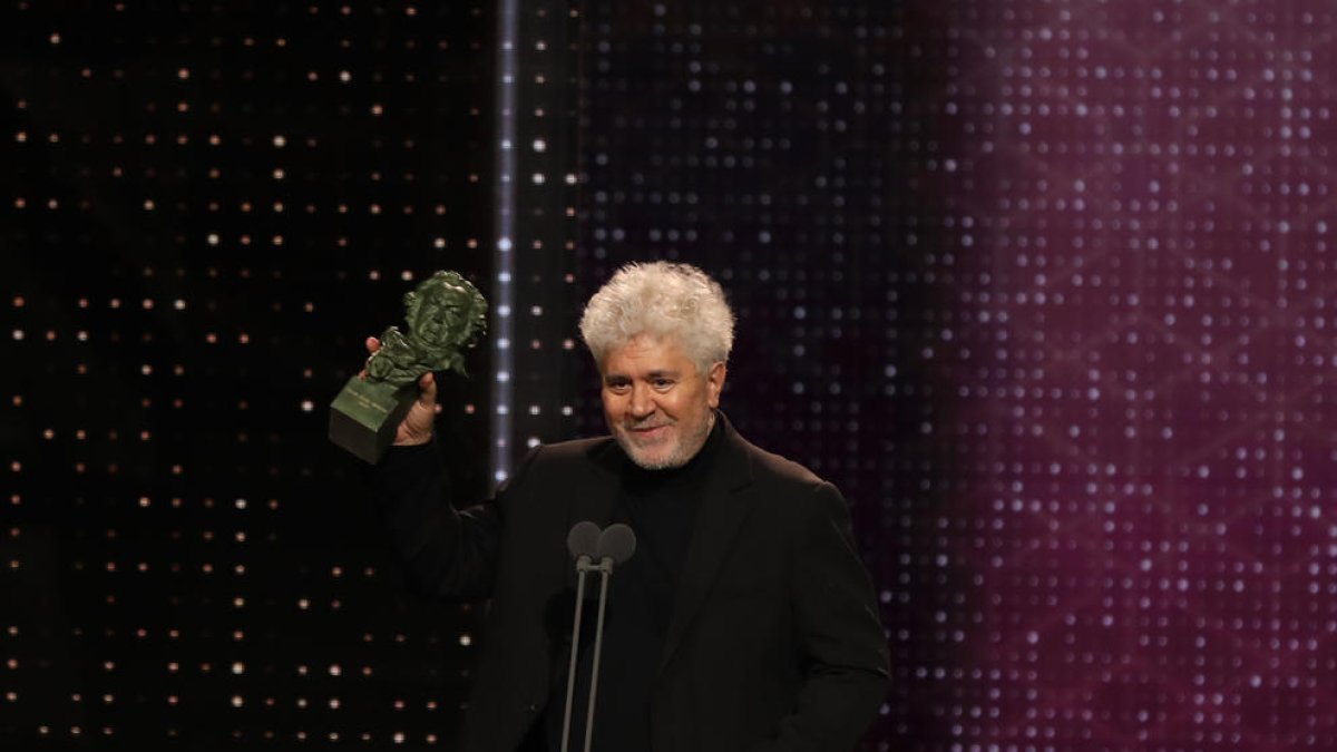 Pedro Almodóvar recogiendo el Goya a mejor guion original por 'Dolor y gloria', el 25 de enero del 2020.