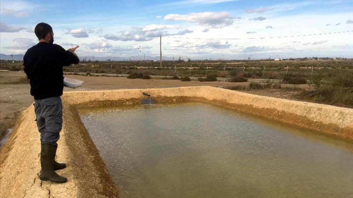 Uno de los investigadores del IRTA haciendo pruebas en una de las balsas del suelo que se han preparado para el proyecto Fitogel.