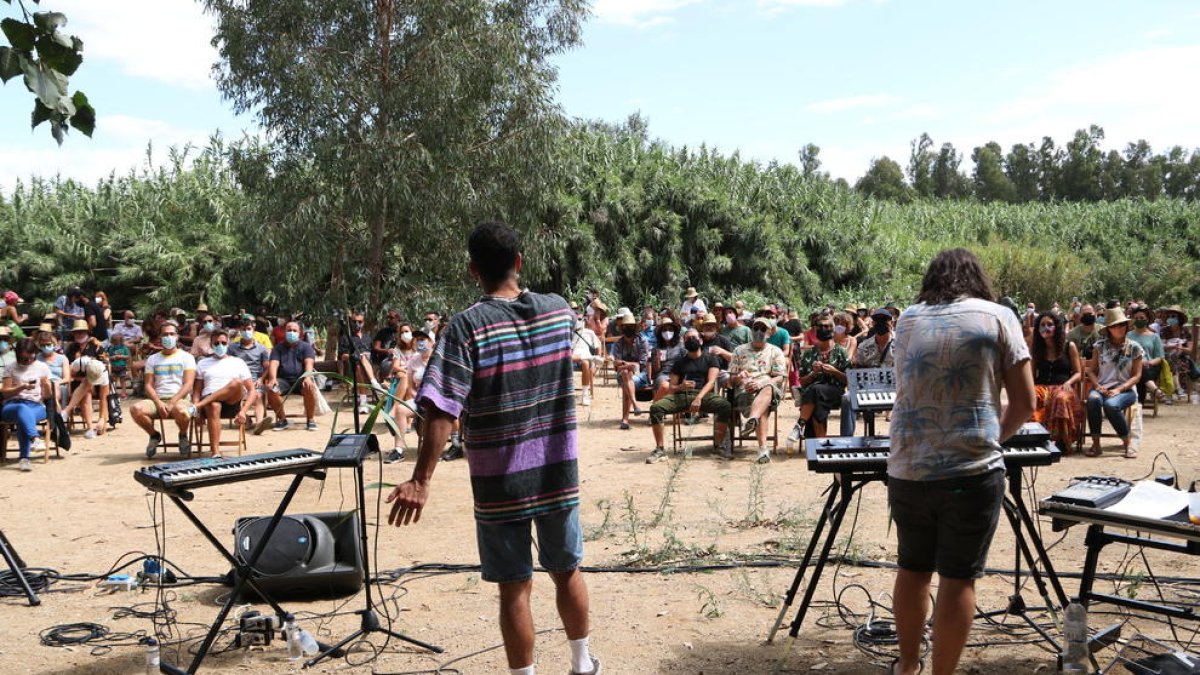 Els músics Algora d'esquena actuant en la novena edició de l'Eufònic als Ullals de Baltasar d'Amposta.