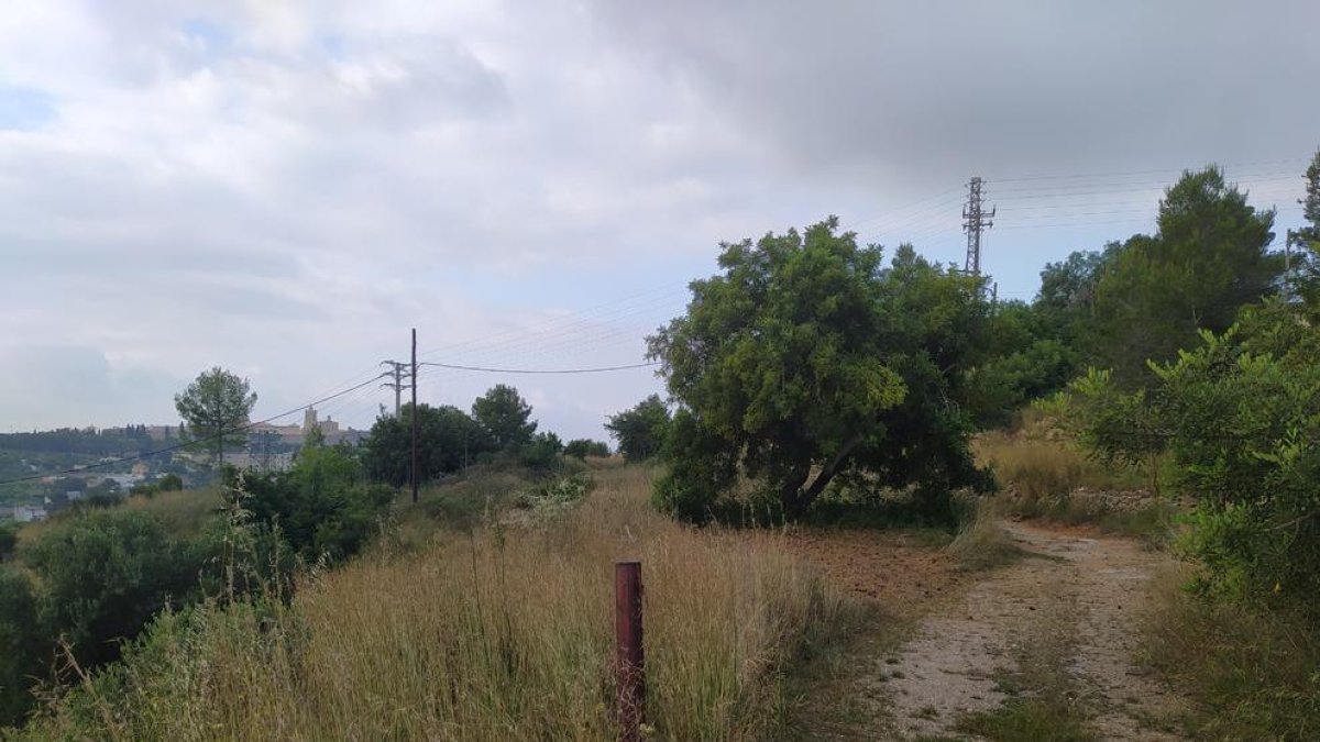 Els terrenys de la finca on s'ubicarà l'aparcament d'autocaravanes, a la Muntanya de l'Oliva.