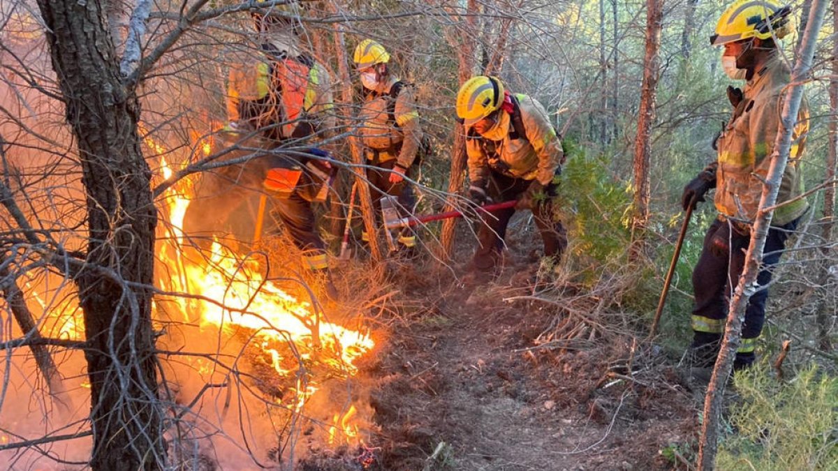 Imagen del incendio de Tivissa.