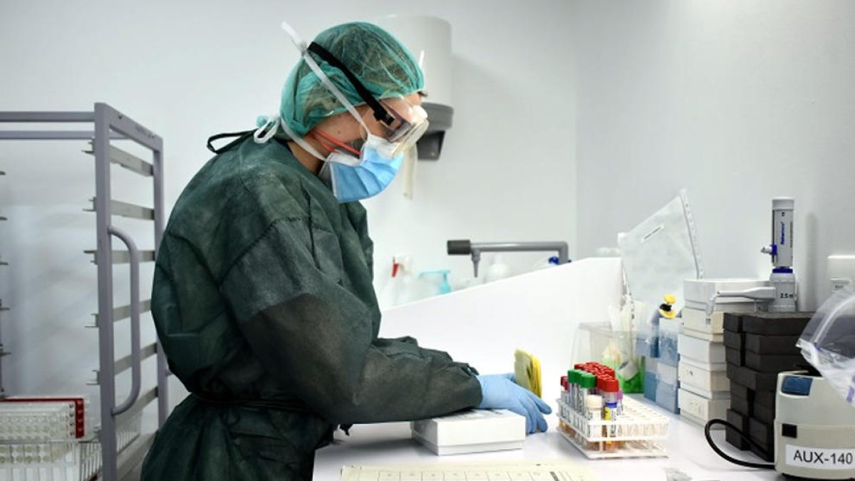 Análisis de pruebas de PCR para detectar la presencia del coronavirus en la sede del Laboratorio Clinic del ICS en Girona.