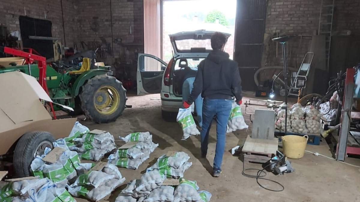 La familia cargando el producto en la furgoneta para hacer la distribución de encargos estos días.