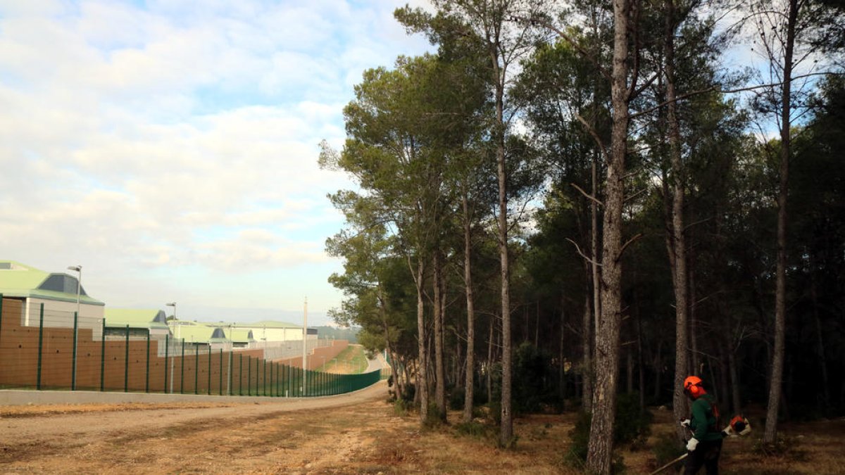 Pla general d'un operari treballant amb una desbrossadora a la forest de Mas d'Enric.