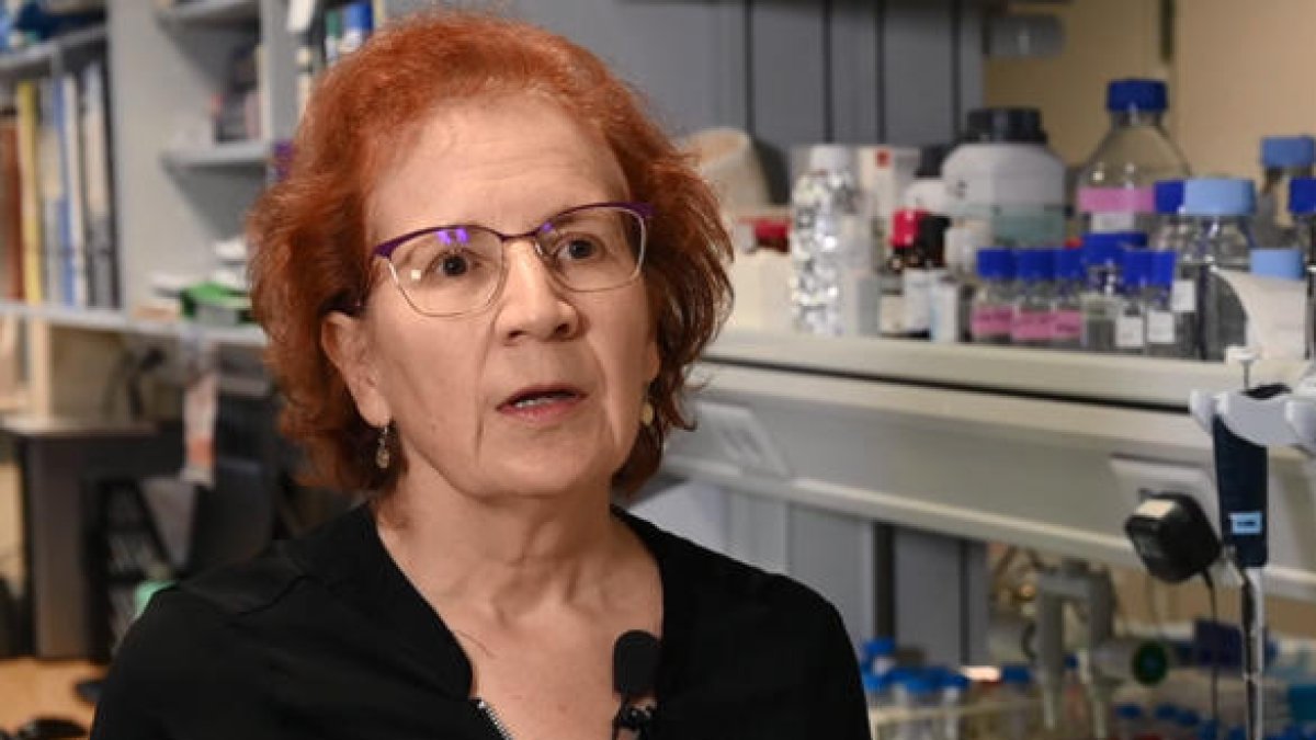La viróloga, Margarita del Val, investigadores del CSIC.