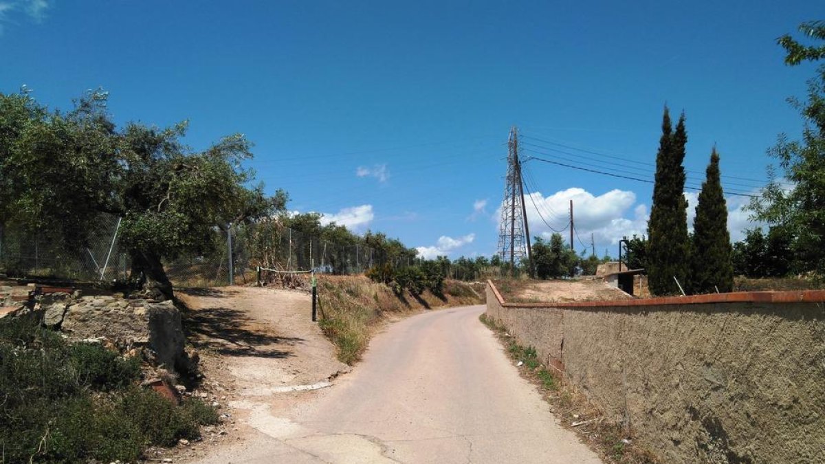 Imatge del camí de Coll d'en Boch.