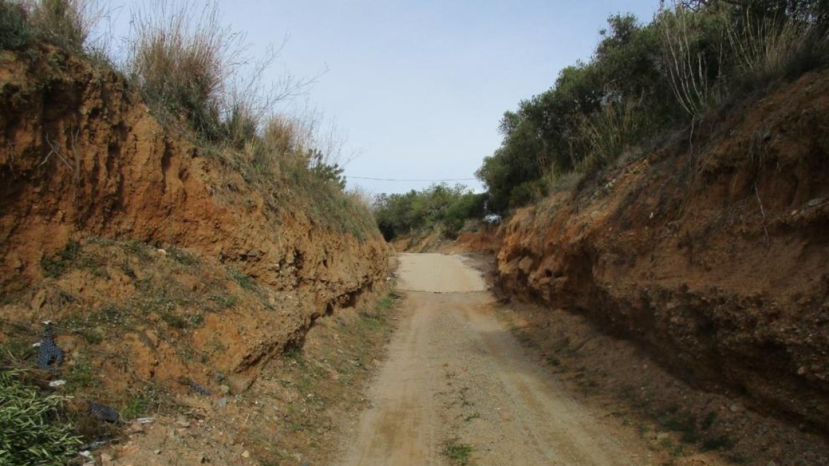 Imatge de l'estat actual del el Camí de Montbrió.