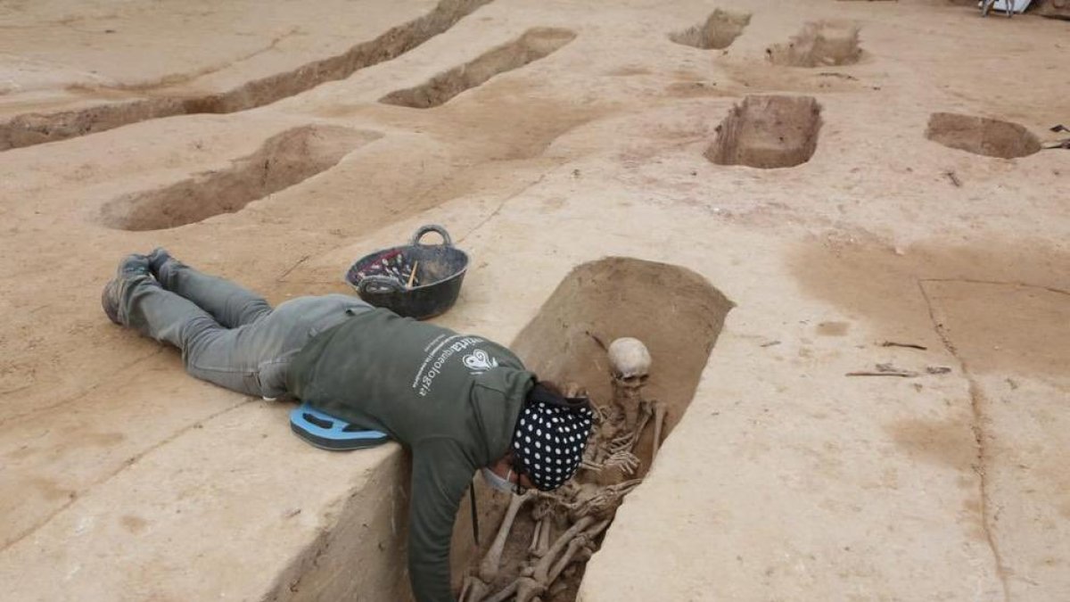 Los arqueólogos trabajando en el desenterramiento de cuerpos en la fosa del Mas de Santa Magdalena de Móra d'Ebre.