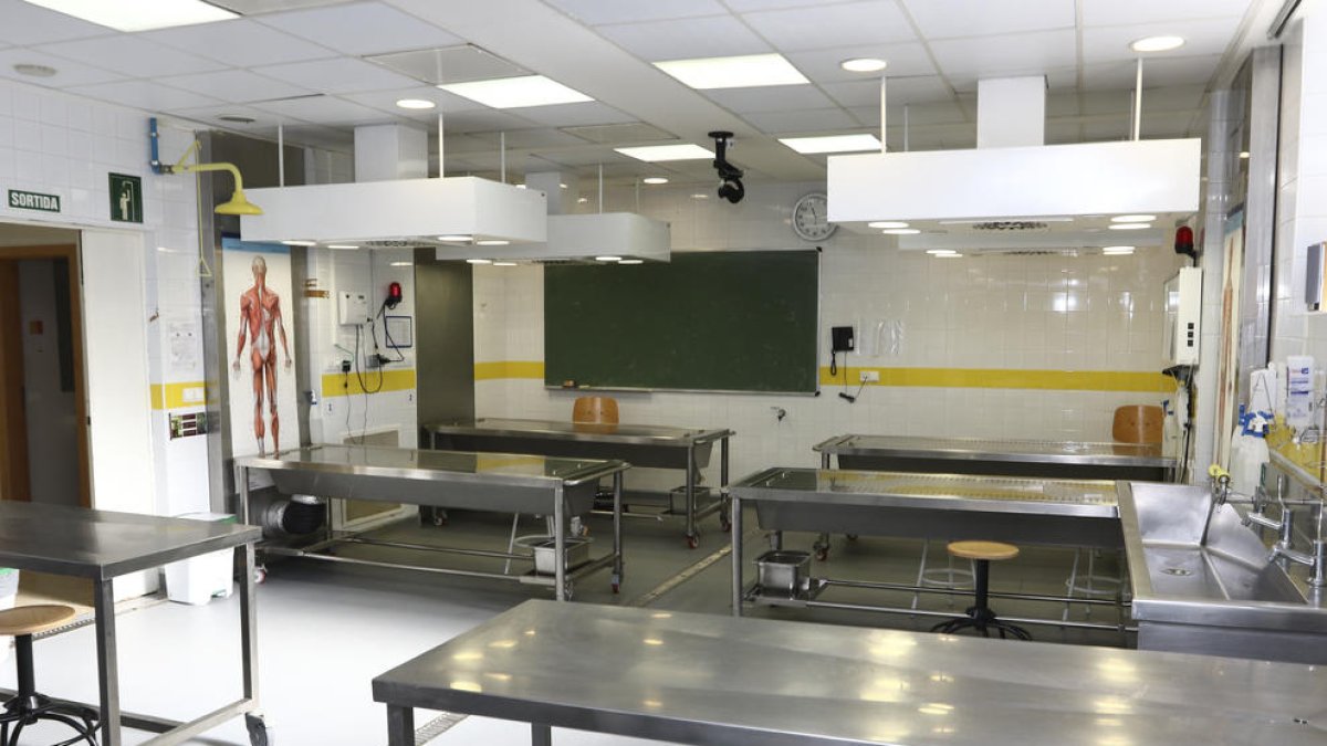 La sala de dissecció de la facultat de Medicina.