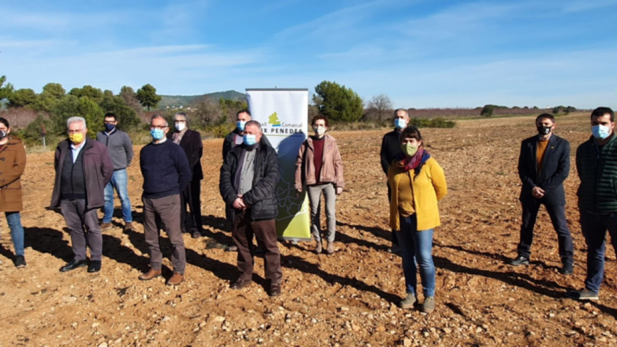 Los alcaldes aseguran que los parques fotovoltaicos estropean el paisaje de la comarca.