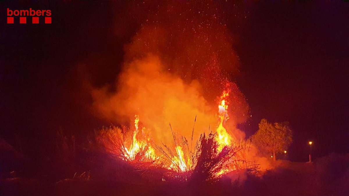 Imagen de las llamas del incendio de Miravet.