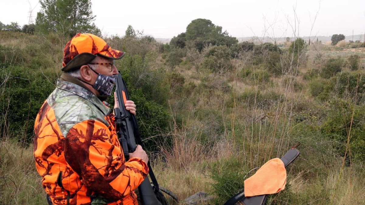 Un caçador que ha participat en la batuda per caçar porcs senglars al terme municipal de Vallmoll .