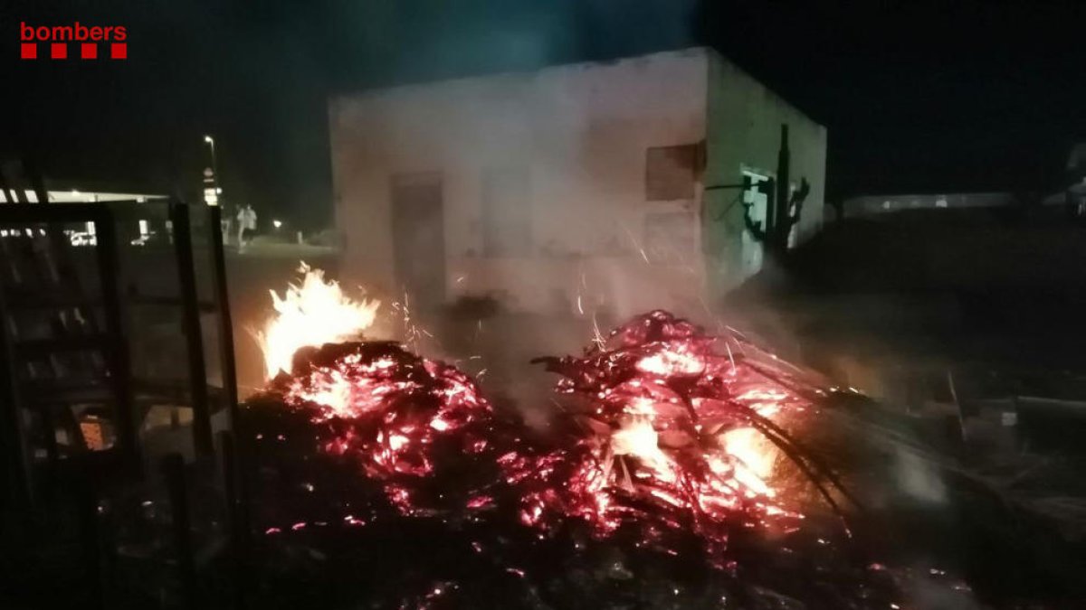 Restos de palmera ardiendo en Amposta.