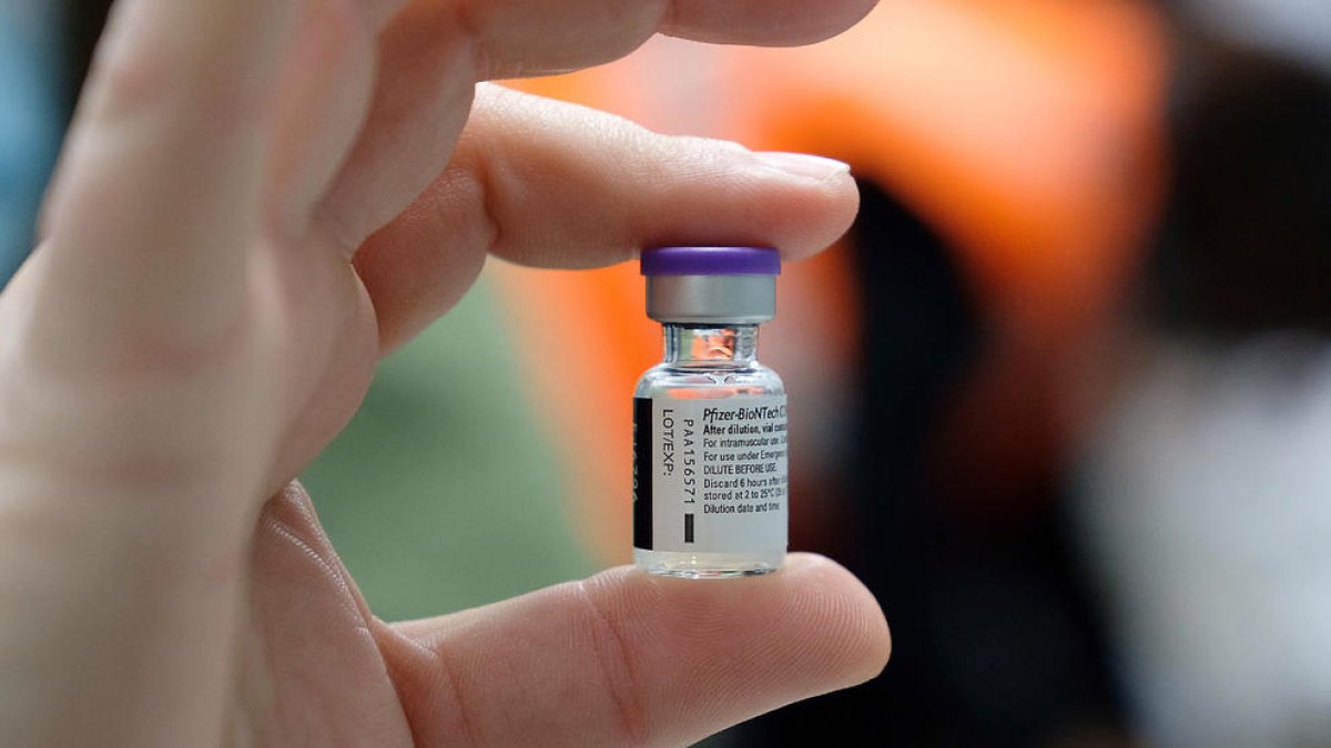 Primer pla d'una de les dosis de la vacuna contra la covid-19 que ha arribat aquest diumenge al Banc de Sang i Teixits