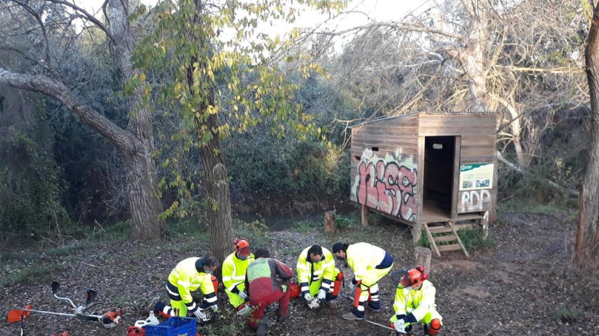 Els participants en el pla d'ocupació de la Diputació de Tarragona al Montsià.