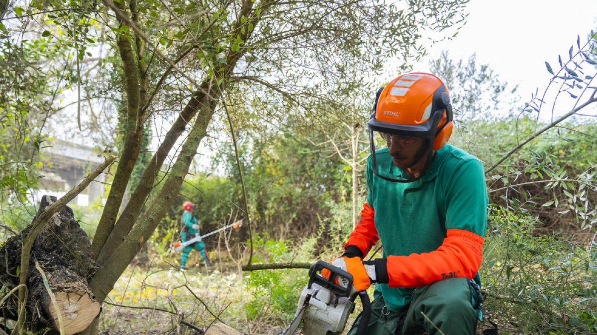 Dos de los trabajadores que participan en la limpieza del sotobosque en el marco del plan de empleo.