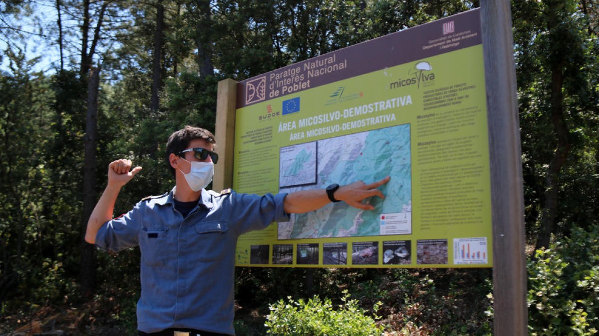 Pla obert del sotsinspector de la unitat GRAF de la regió de Tarragona, Jordi Castellví.