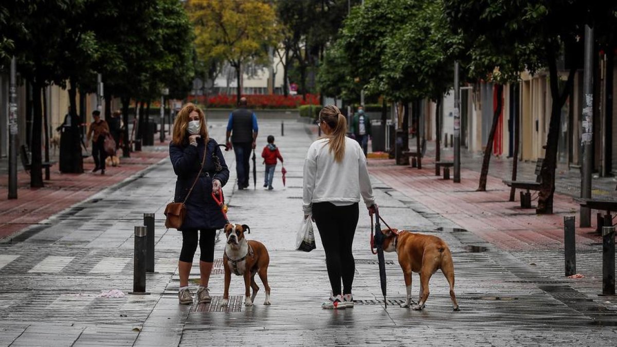 Dos noies passejant el seus gossos.