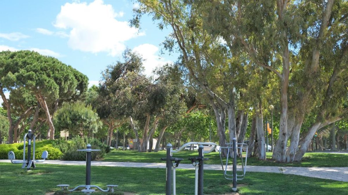 Imatge d'un espai municipal dedicat a l'exercici físic.