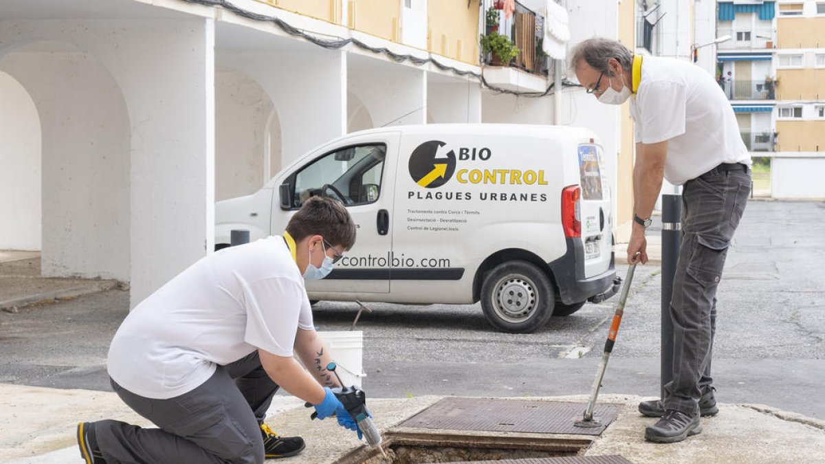 Imagen del inicio del tratamiento contra se cucarachas en Constantí.