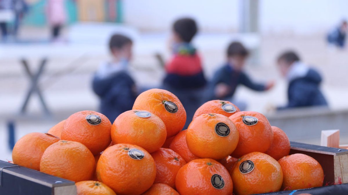 Detall d'una caixa de clementines amb nens jugant al fons al pati de l'escola