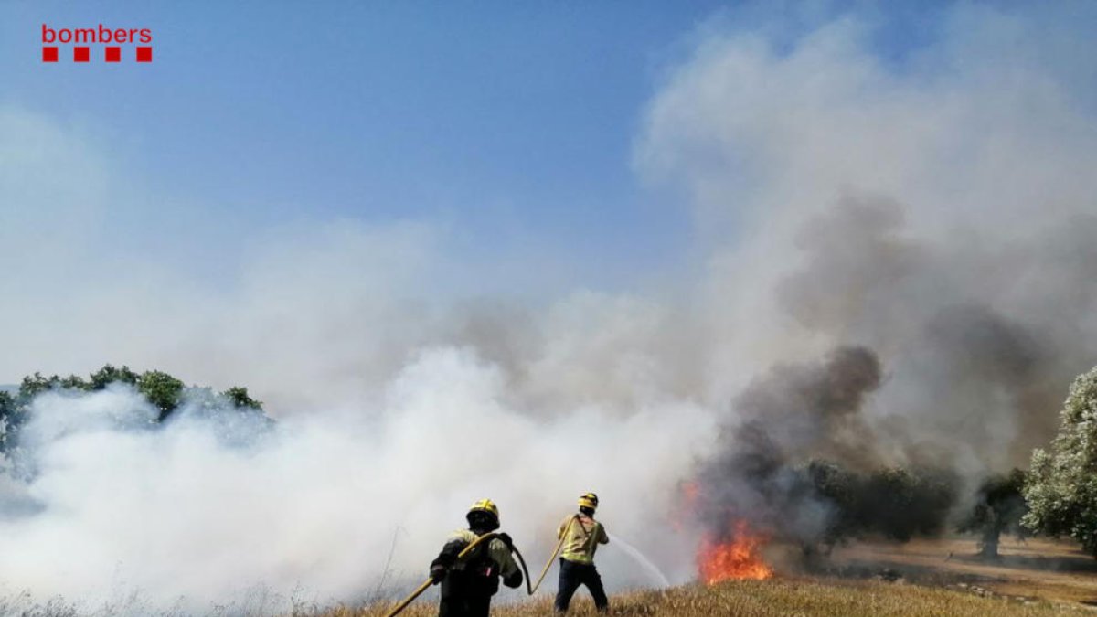 Efectivos de los Bomberos de la Generalitat trabajando en la extinción del incendio agrícola de la Pobla de Massaluca.