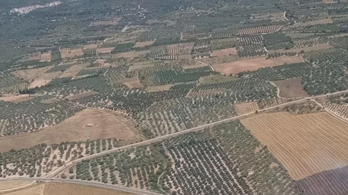 Imatge aèria de la zona afectada per l'incendi agrícola de Godall.