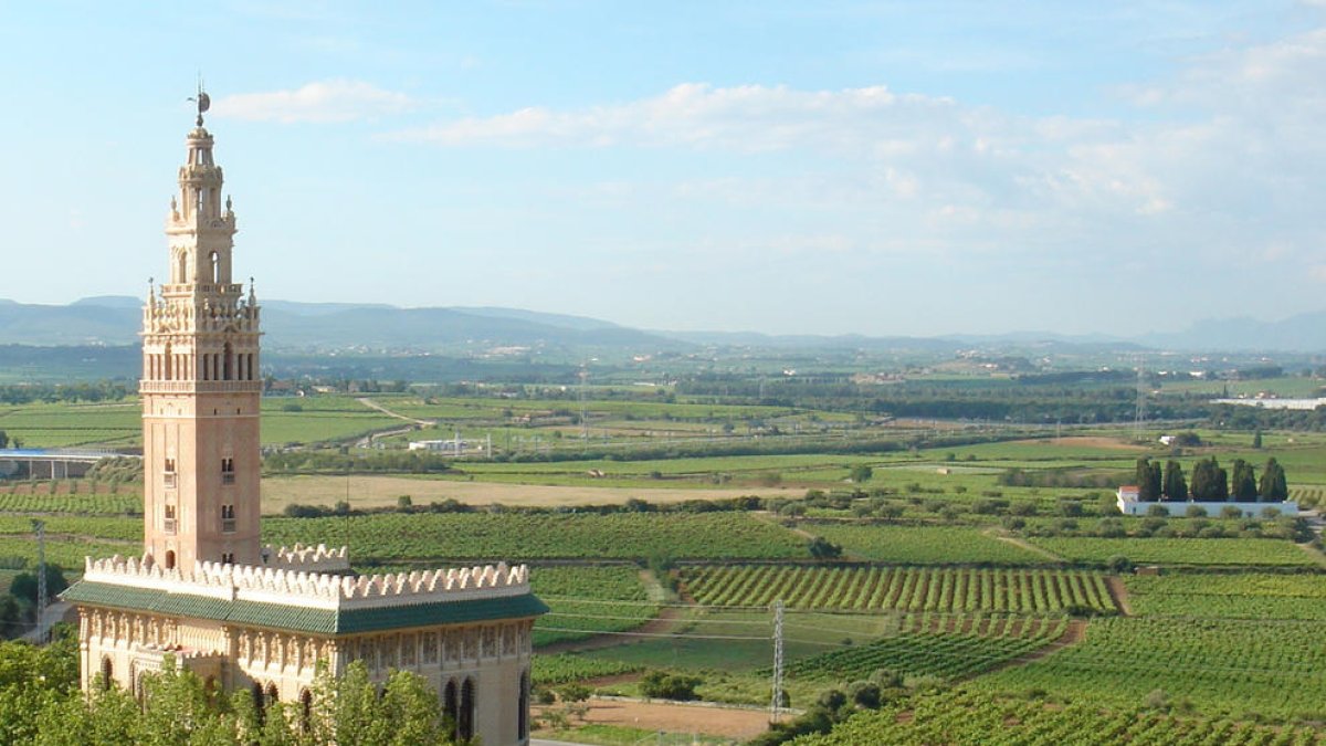 Imagen de la Giralda con los campos de viñas en el fondo.