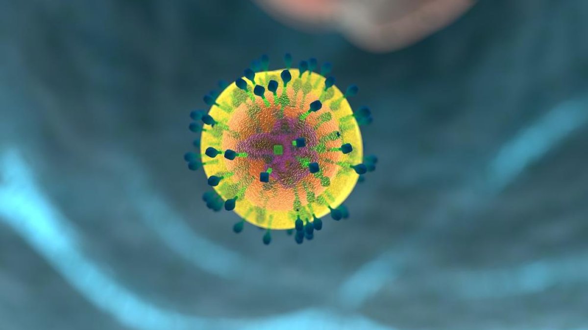 IrsiCaixa ha demostrado que las células T del sistema inmunitario son muy eficaces.