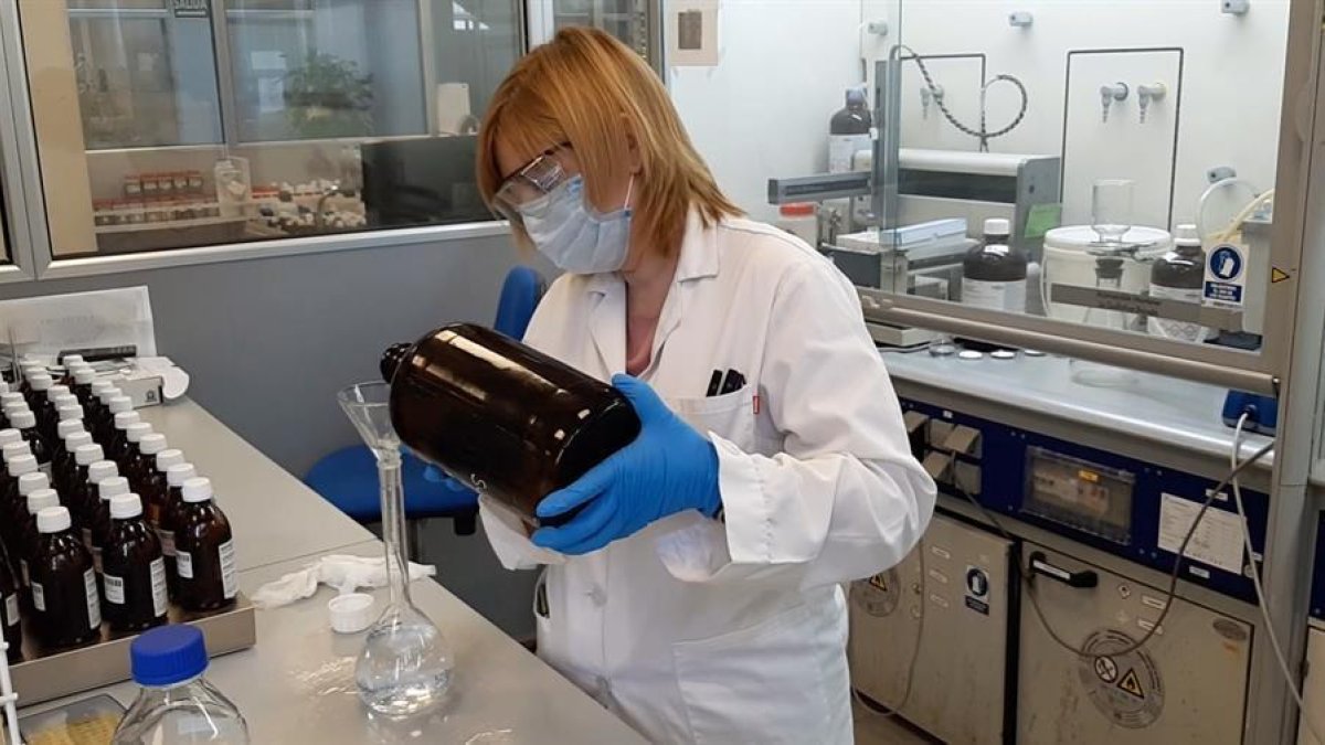 Débora Sorolla, investigadora de la Fundació AQUAE, treballa en el laboratori on es realitza una recerca.