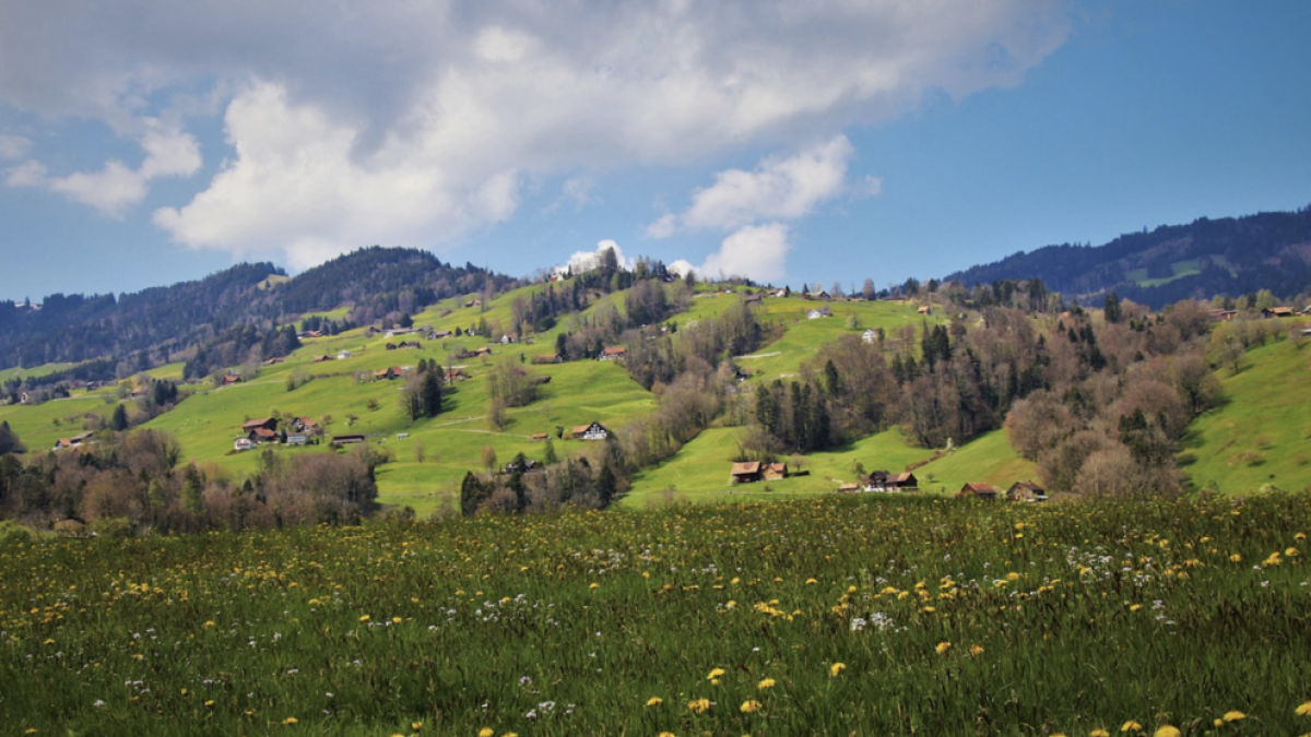 Montañas y verde.