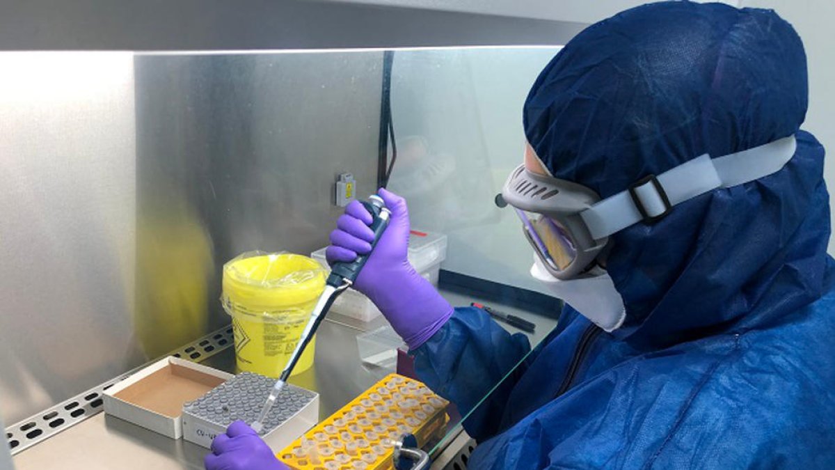 Pla mitjà d'una treballadora analitzant una mostra de PCR en el laboratori d'Hipra.