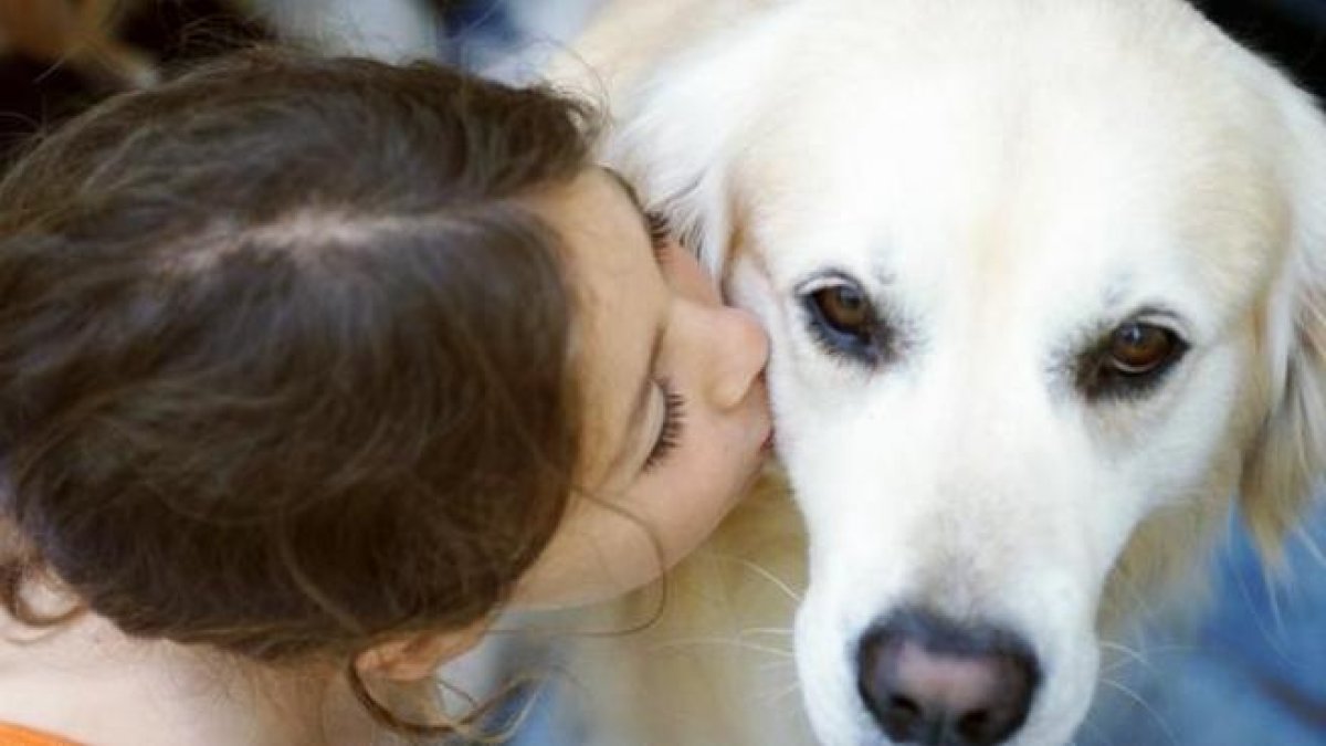Imatge d'arxiu d'una nena amb el seu gos.